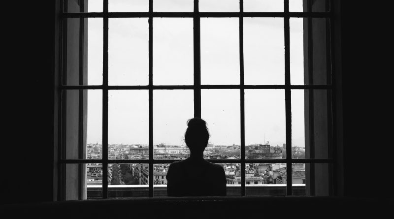 tamsunhatviet2-nipponosusume