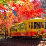 lễ hội ngắm lá đỏ ở núi takao