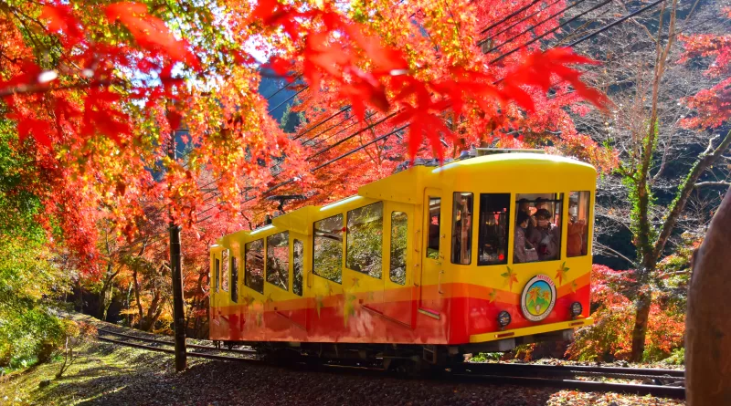 lễ hội ngắm lá đỏ ở núi takao